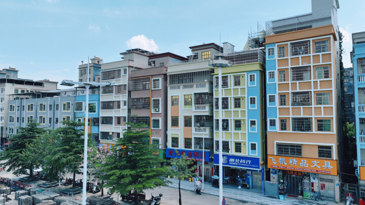 【百千萬工程】惠陽(yáng)鎮(zhèn)?。簥^力譜寫“低碳智造 綠美荔鄉(xiāng)”新篇章.docx_3