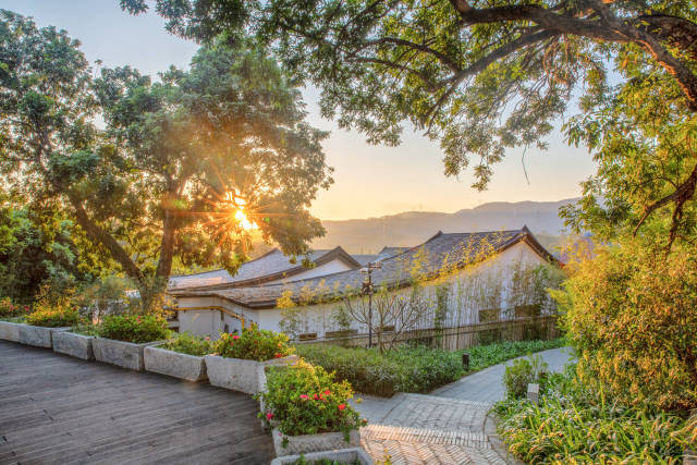 惠陽秋長谷里。 受訪者 供圖